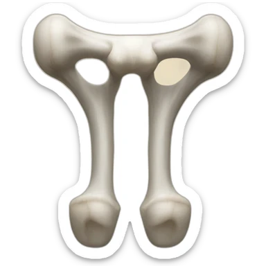 femur sticker
