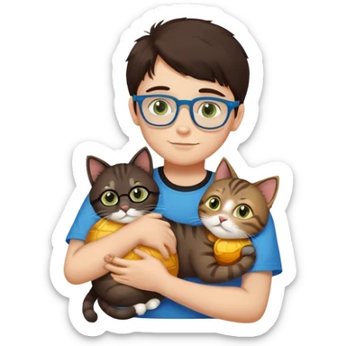 a boy with dark brown hair, slightly greenish eyes and blue glasses, wearing a black t-shirt, hugging a furry tabby cat with honey-colored eyes sticker