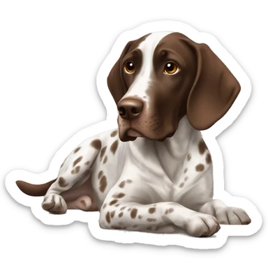 dog laying down, brown gsp, German short haired pointer  sticker