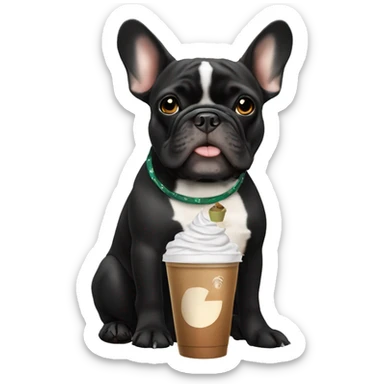 Black and tan French bulldog that is mostly black holding a Starbucks iced chai sticker