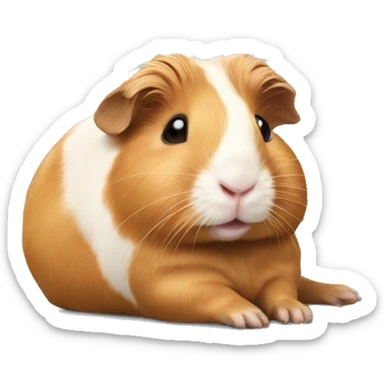 Guineapig laying down very cute but realistic sticker