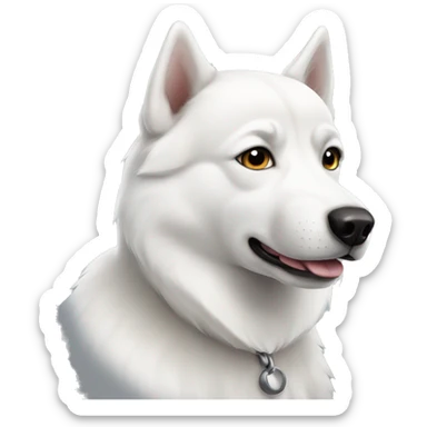 Dog white husky  sticker