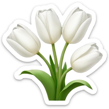 white tulip bouquet with a white bow holding the flowers together sticker