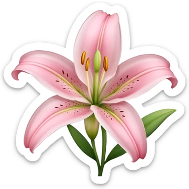 light pink lilium sticker
