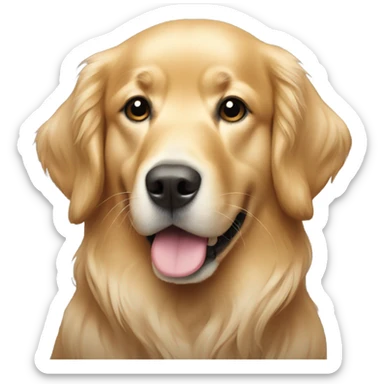golden retriever wearing a hoodie  sticker