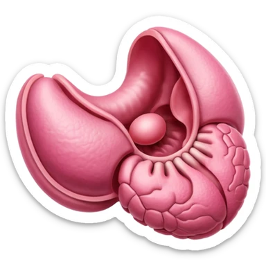 uterus sticker