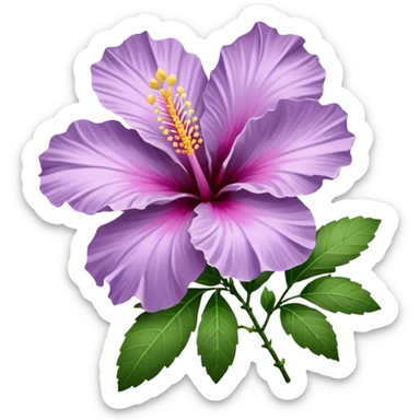 single lilac hibiscus blossom with 6 branch  facing left in png form  sticker
