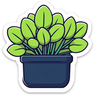 Sedum Pachyphyllum jelly bean plant succulent with thick tubular leaves sticker