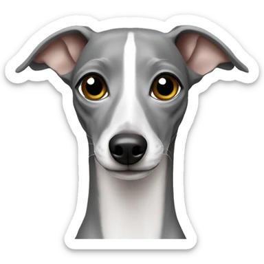 Italian greyhound grey sticker