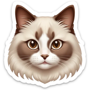 Cinematic Adorable Chocolate-Point Ragdoll Cat Portrait Emoji, Head tilted cutely with big, sparkling eyes, sleek brown and white tones with a sweet white nose, Simplified yet irresistibly adorable features, highly detailed, glowing with a soft, warm glow, high shine, affectionate and playful, stylized with a touch of whimsy, bright and endearing, soft glowing outline, capturing the essence of a curious and loving kitten, so cute it feels like it could leap out of the screen and snuggle up for a cuddle! sticker