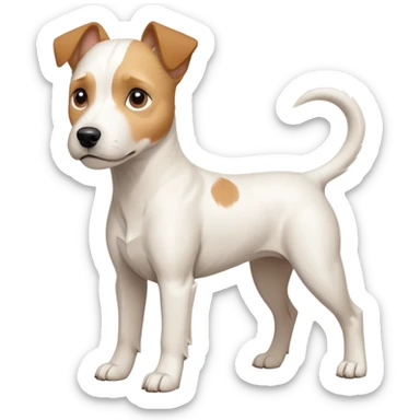 a full body buff white parson russell terrier looking dog the size of a kelpie with light brown long ears and a light brown patch on one eye and a large snout. the rest of the dog is completely white. forward facing sticker
