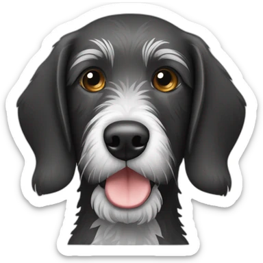 German Wirehaired Pointer dog black and white sticker
