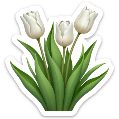 white tulip flower bouquet  sticker