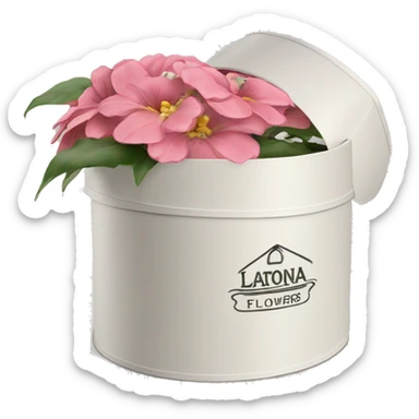 latona flowers hat box with latona logo sticker