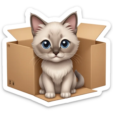  A very cute gery young kitten long hair Siamese Cat cat with one's head tilted to one side poked its paws out of the cardboard big box and placed them on top of it sticker