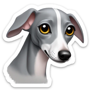 Italian greyhound gray curled up sticker