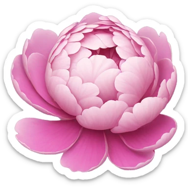 peonie sticker