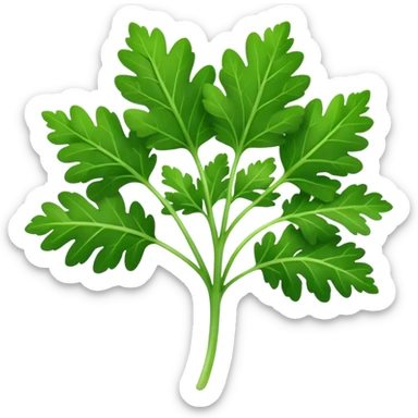 parsley leaf, single, fresh, bright green, serrated edges, natural curves, glossy surface, fine central vein, branching lobes, no stem bunch, no background, soft lighting, emoji scale sticker