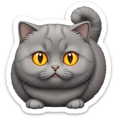 The photo shows a cat with a dense physique, short plush gray wool. His tail is fluffy and slightly darker than the rest of the wool. The cat has large round eyes of rich yellow-orange color, which give it an expressive and slightly surprised look. The ears are small and curved forward - this is a characteristic feature of the Scottish lop-eared breed. This cat looks at emojis condemningly sticker