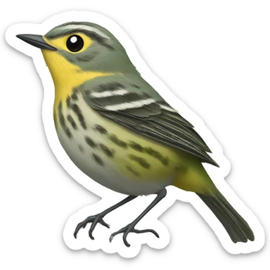 Elfin Woods Warbler  sticker