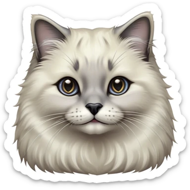 Cinematic Adorable Fluffy Grey Seal Ragdoll Cat Portrait Emoji, Head tilted gracefully with large, sparkling eyes, soft grey fur with darker seal points on the ears, face, and paws, Simplified yet majestic features, highly detailed, glowing with a soft, warm glow, high shine, calm and affectionate, stylized with a touch of elegance, bright and endearing, soft glowing outline, capturing the essence of a regal and loving kitty, so serene it feels like it could glide across the screen with its dignified presence! sticker