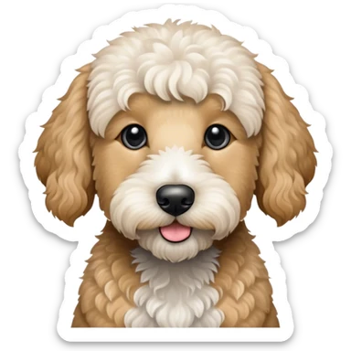 Dog goldendoodle blackand white sticker
