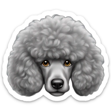 Big Xl size grey fuzzy poodle sticker