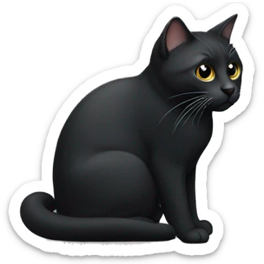GATO NEGRO CON BLANCO  sticker