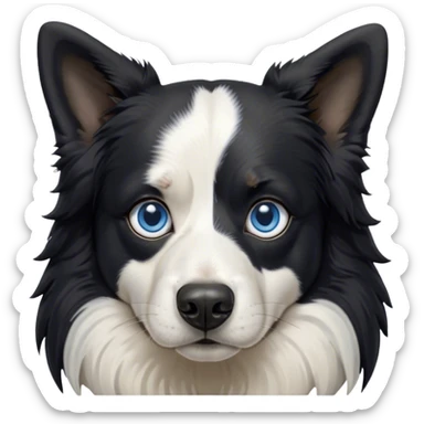 Cinematic Meme-Worthy Grumpy Black and White Border Collie Portrait Emoji, Head held high but eyes filled with dramatic disappointment, smooth black and white fur with a deeply furrowed brow forming an unmistakable scowl, floppy ears slightly angled back in disapproval, piercing blue eyes glaring with pure exasperation, Simplified yet hilariously over-exaggerated features, highly detailed, glowing with an aura of supreme annoyance, high shine, exhausted yet judgmental, stylized with an almost regal pettiness, bright but brooding, soft glowing outline, capturing the essence of a herder that has seen it all and is thoroughly unimpressed, so meme-worthy it feels like it could instantly become the next viral sensation of grumpiness! sticker