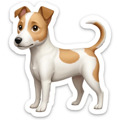 a full body slightly chubby white parson russell terrier looking dog the size of a kelpie with light brown long ears and a light brown patch on one eye and a large snout. the rest of the dog is completely white. forward facing sticker