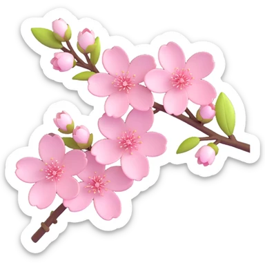 elegant cherry blossom flowers on a branch, glossy, soft pink and white petals, modern and fresh sticker
