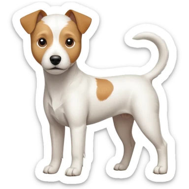 a full body slightly chubby white parson russell terrier looking dog the size of a kelpie with light brown long ears and a light brown patch on one eye and a large snout. the rest of the dog is completely white sticker