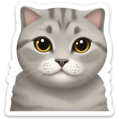Grey Scottish fold cuddle with a beige British shorthair  sticker