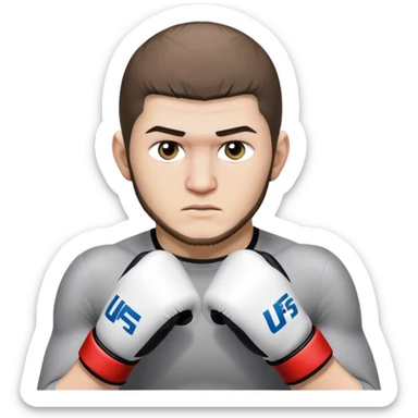 Khabib Nurmagomedov in ufs gloves sticker