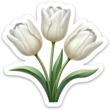 White tulips with transperant background sticker