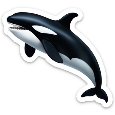 Orca  sticker