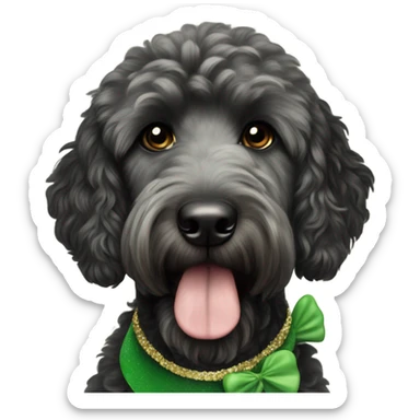 Black goldendoodle dog with st Patrick’s day headband sticker