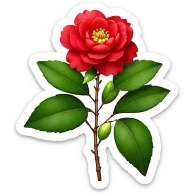bouquet Red Camellia, luxuriant, stem, leaf, bud sticker