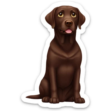 Chocolate Labrador retriever sitting up sticker