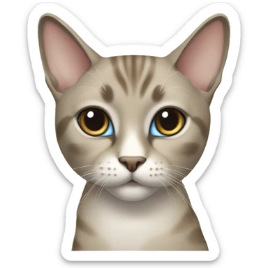 Thai breed realistic adult cat with a light cream -brown body, dark gray-brown face, ears, and paws. Short fur, sharp ears, striking light blue eyes  sticker