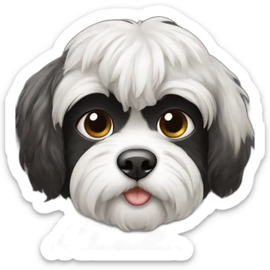 Shitzu, preta e branca, mancha preta em um olho sticker