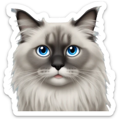 Light grey fluffy ragdoll kat with grey face and black nose with a white chin and blue eyes emoji style sticker