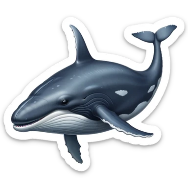 Detailed hump back whale  sticker