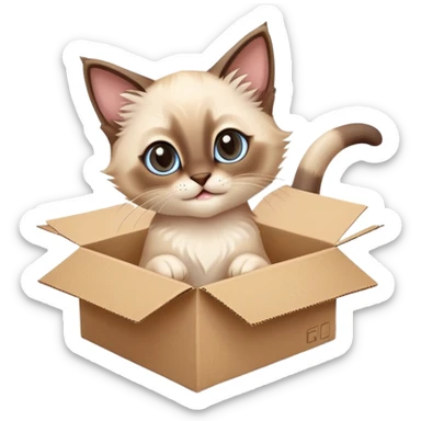  A very cute gery young happy kitten long hair Siamese Cat cat with one's head tilted to one side poked its paws out of the cardboard big box and placed them on top of it sticker