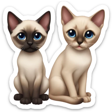 A boy Siamese kitten and a girl Siamese kitten sticker