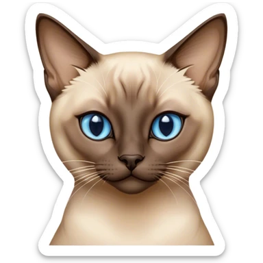 Here's a prompt tailored to a Siamese cat in a similar cinematic style:

Cinematic Siamese Cat, Ultra-realistic 32k HD, Breathtaking piece of art, rim lighting, hauntingly beautiful art, soft sepia tones with accents of cool blues, Balanced features with striking almond-shaped eyes, highly detailed digital artwork, glowing with a subtle blue sheen, high shine, ethereal and graceful, a portrait of elegance, otherworldly, enchanting and mysterious, blending realism and fantasy, dreamy glow, optical illusion, immaculate composition, complex pose with fluid movement, capturing the feline's grace and charm, so lifelike that it feels like the cat could step out of the frame at any moment. sticker