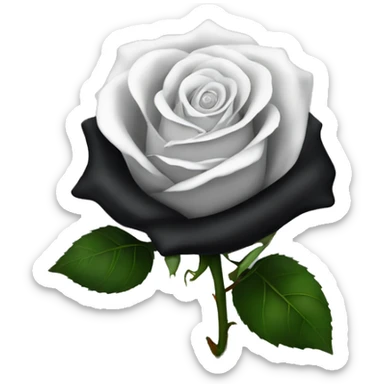 Black rose with a white bow on the stem ￼ sticker