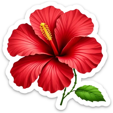 Vibrant red cotton rose hibiscus flower with large petals and prominent stamen sticker