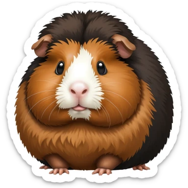 HUGE FAT BLACK AND BROWN GUINEA PIG WITH A AFRO sticker