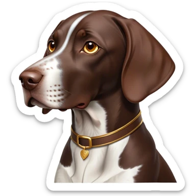 Cinematic Noble German Pointer Portrait Emoji, Poised and regal, with a lean, athletic build and a sleek, short coat in liver and white, deep-set soulful brown eyes, Simplified yet sharp and sophisticated features, highly detailed, glowing with a soft, dignified glow, high shine, intelligent and driven, stylized with an air of determination, focused and attentive, soft glowing outline, capturing the essence of a watchful and commanding hunter, so majestic it feels as though it could sprint out of the screen with effortless authority! sticker